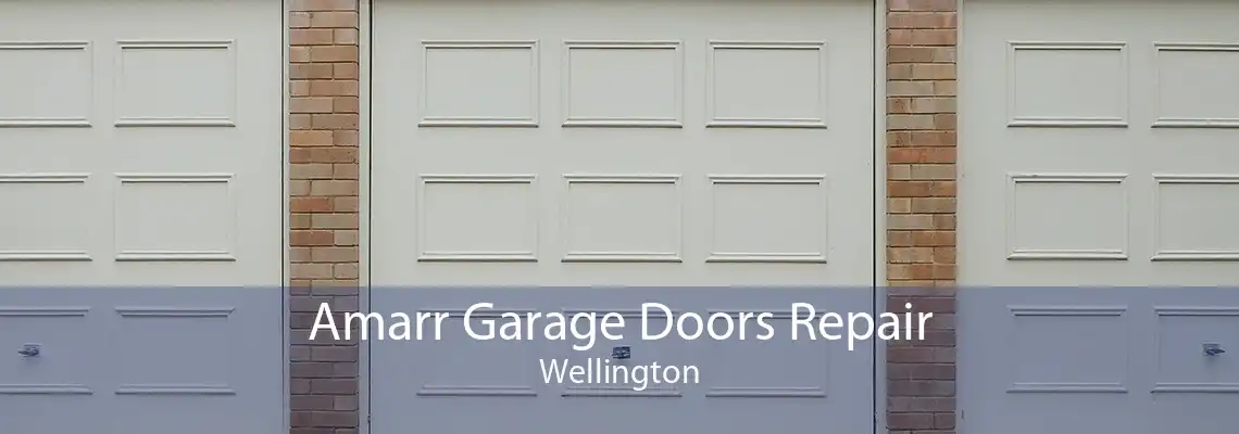 Amarr Garage Doors Repair Wellington