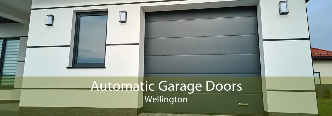 Automatic Garage Doors Wellington