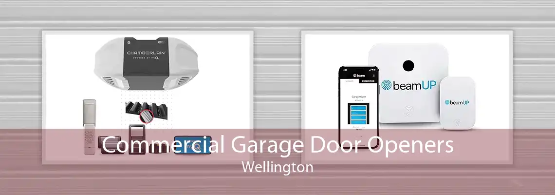 Commercial Garage Door Openers Wellington