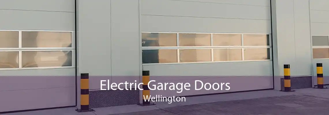 Electric Garage Doors Wellington