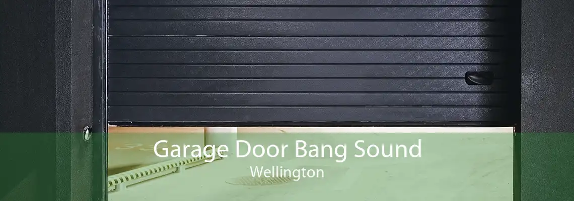 Garage Door Bang Sound Wellington