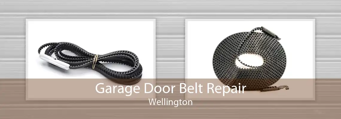 Garage Door Belt Repair Wellington