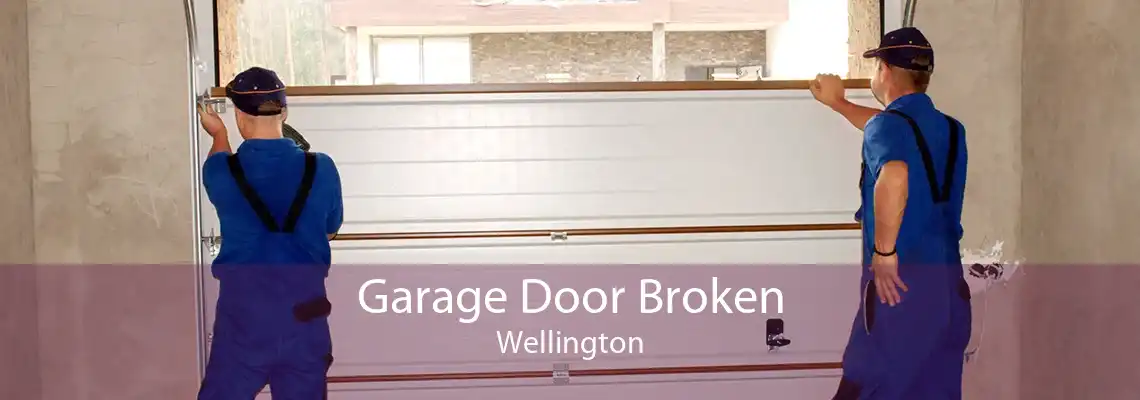 Garage Door Broken Wellington