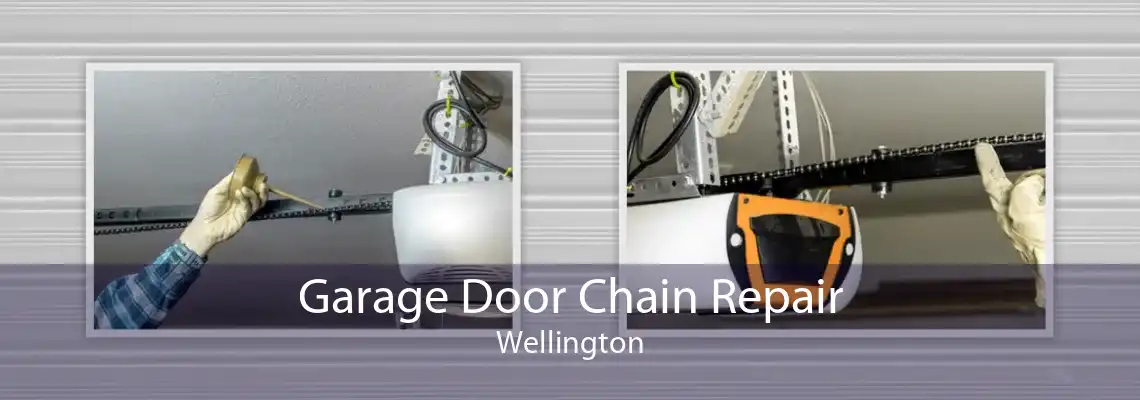 Garage Door Chain Repair Wellington