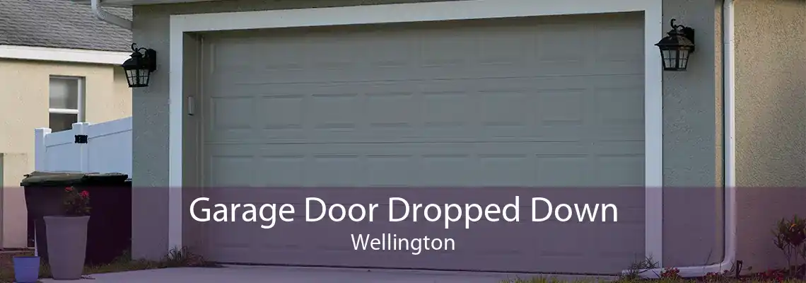 Garage Door Dropped Down Wellington