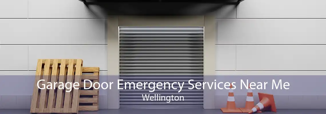 Garage Door Emergency Services Near Me Wellington