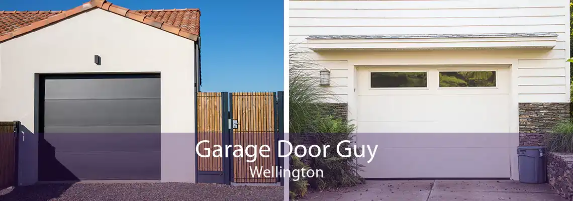 Garage Door Guy Wellington