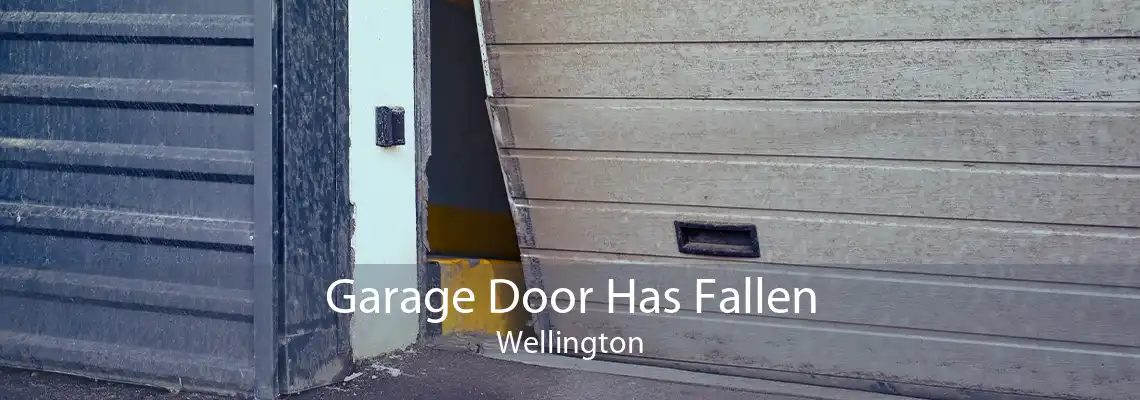 Garage Door Has Fallen Wellington