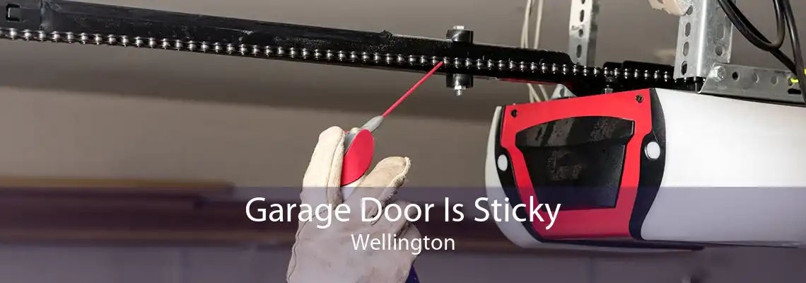 Garage Door Is Sticky Wellington