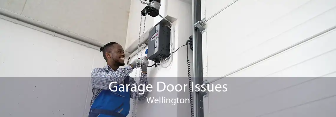 Garage Door Issues Wellington