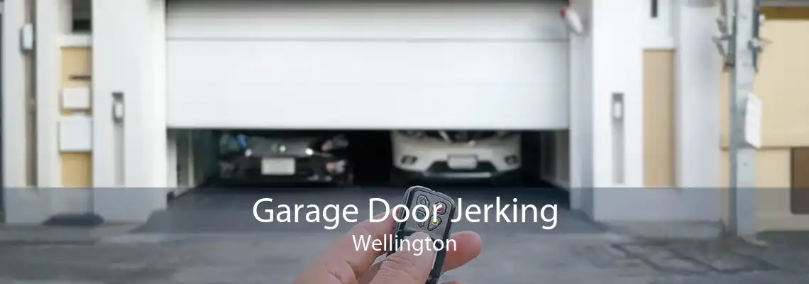 Garage Door Jerking Wellington