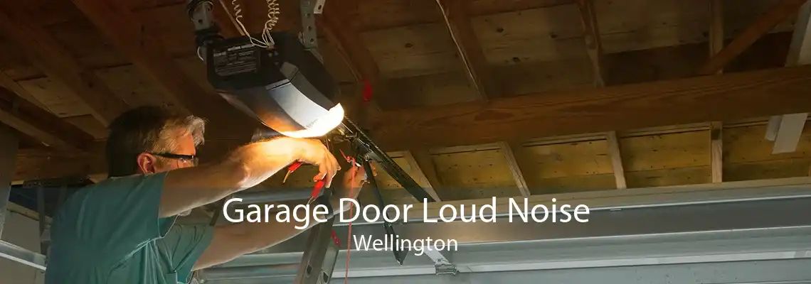 Garage Door Loud Noise Wellington