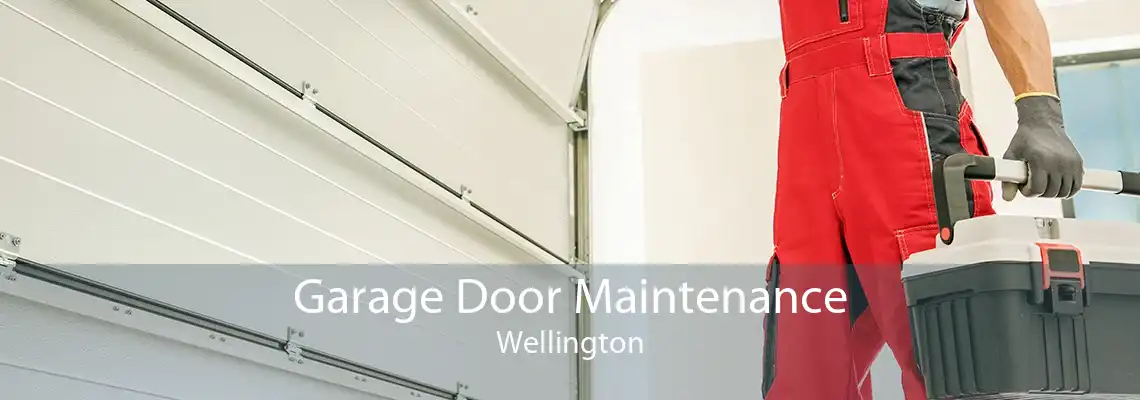 Garage Door Maintenance Wellington