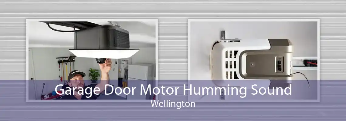 Garage Door Motor Humming Sound Wellington