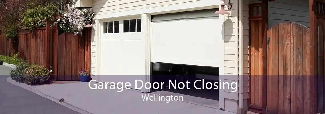 Garage Door Not Closing Wellington