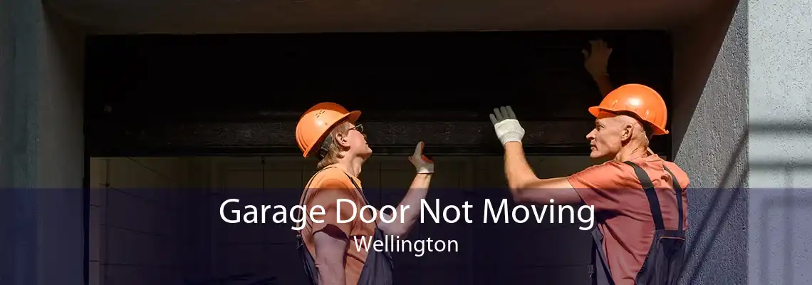 Garage Door Not Moving Wellington