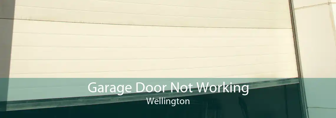 Garage Door Not Working Wellington