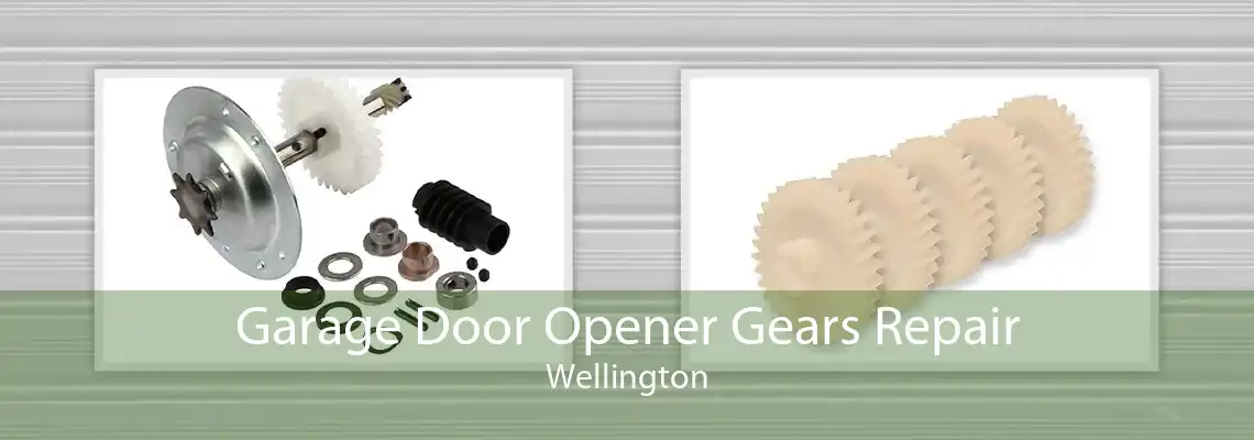 Garage Door Opener Gears Repair Wellington