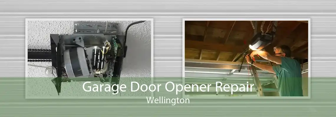 Garage Door Opener Repair Wellington