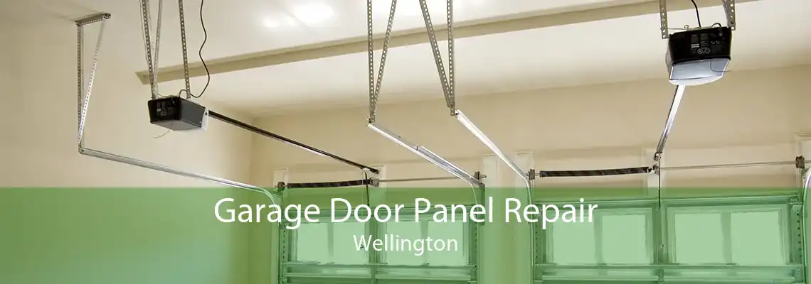 Garage Door Panel Repair Wellington