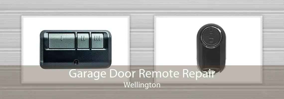 Garage Door Remote Repair Wellington