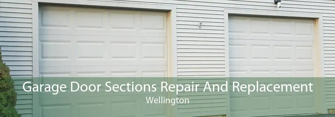 Garage Door Sections Repair And Replacement Wellington