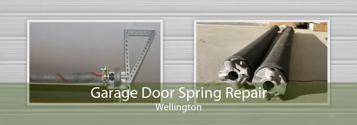 Garage Door Spring Repair Wellington