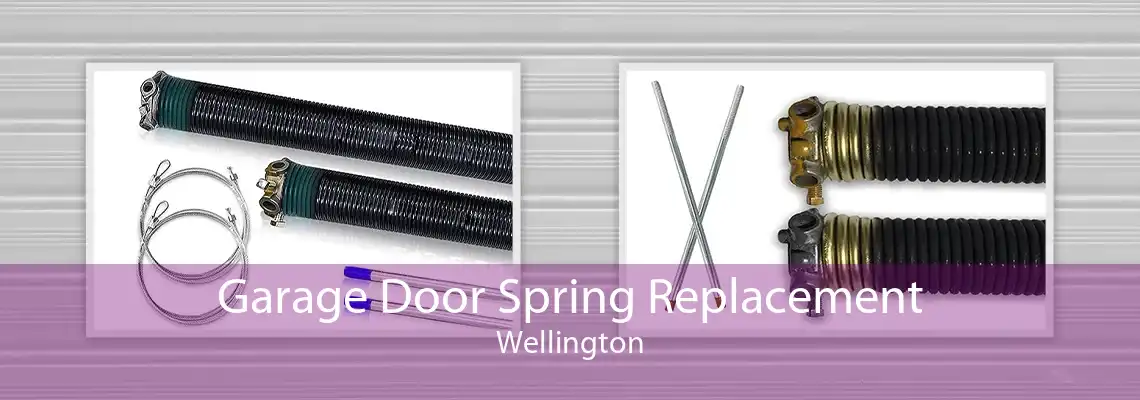 Garage Door Spring Replacement Wellington
