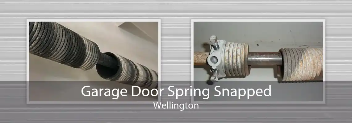 Garage Door Spring Snapped Wellington