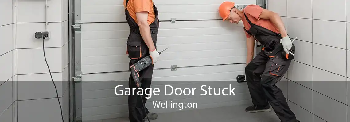 Garage Door Stuck Wellington
