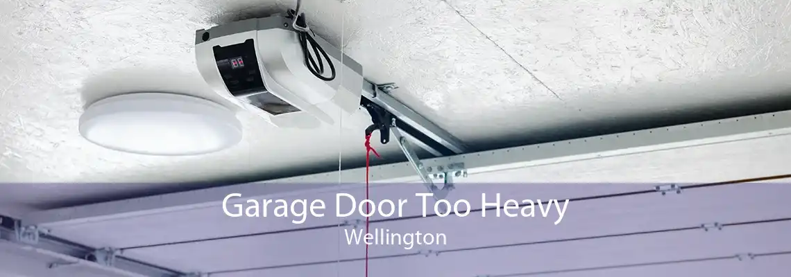 Garage Door Too Heavy Wellington