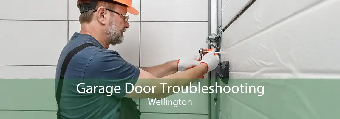 Garage Door Troubleshooting Wellington