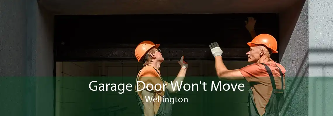 Garage Door Won't Move Wellington
