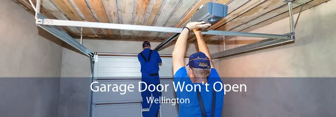 Garage Door Won't Open Wellington