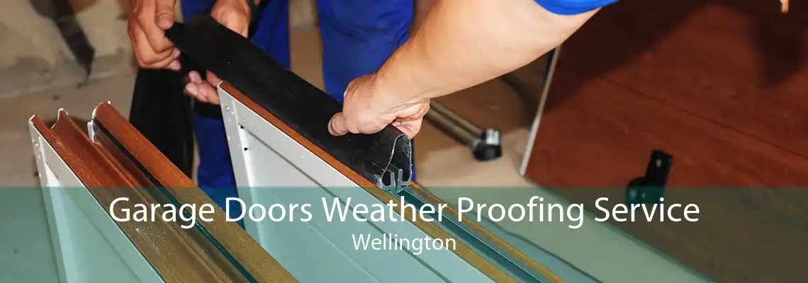 Garage Doors Weather Proofing Service Wellington
