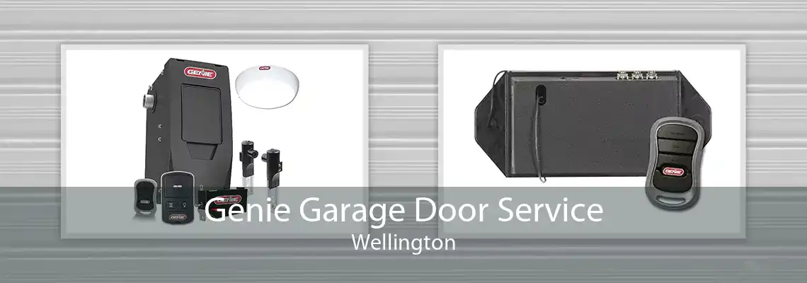 Genie Garage Door Service Wellington