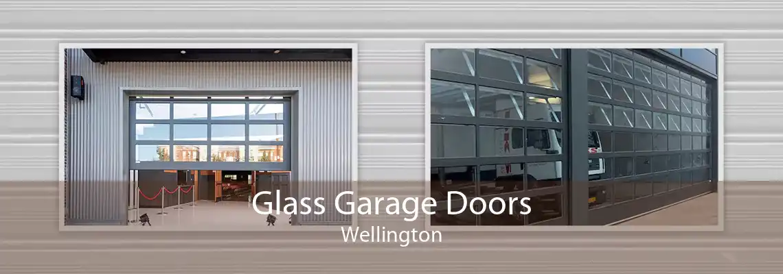 Glass Garage Doors Wellington