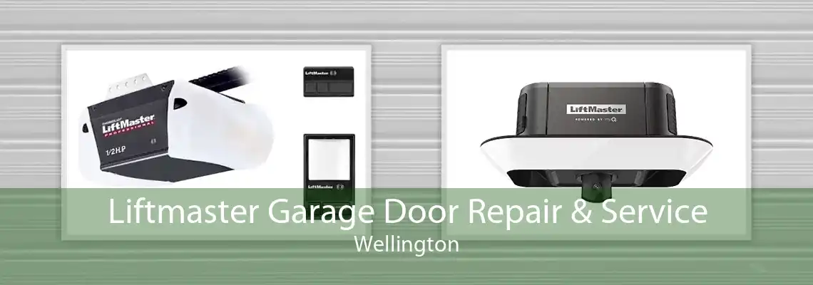Liftmaster Garage Door Repair & Service Wellington