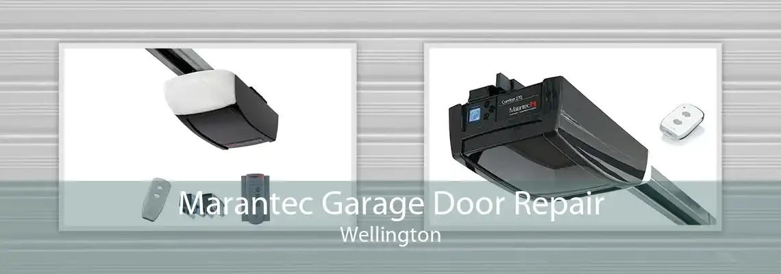 Marantec Garage Door Repair Wellington