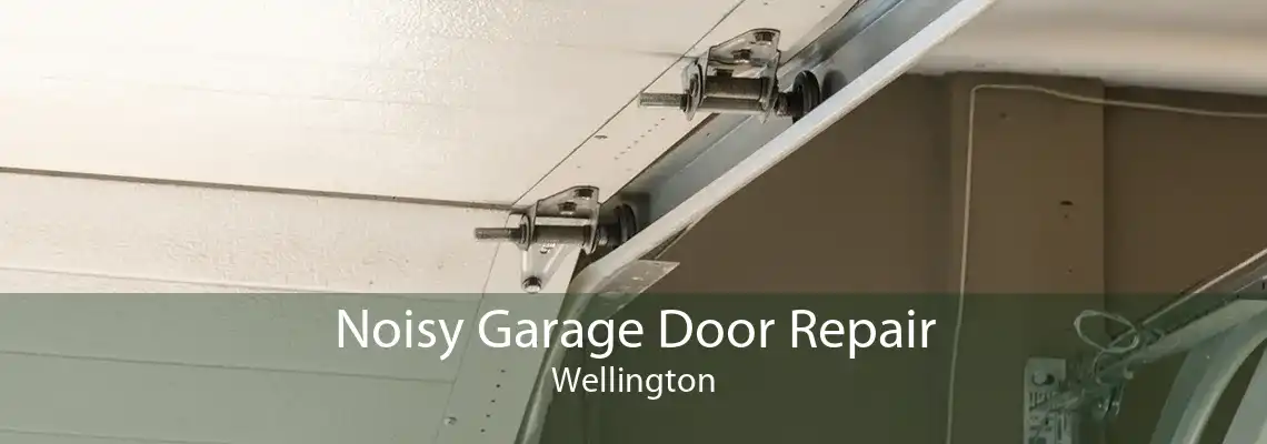 Noisy Garage Door Repair Wellington