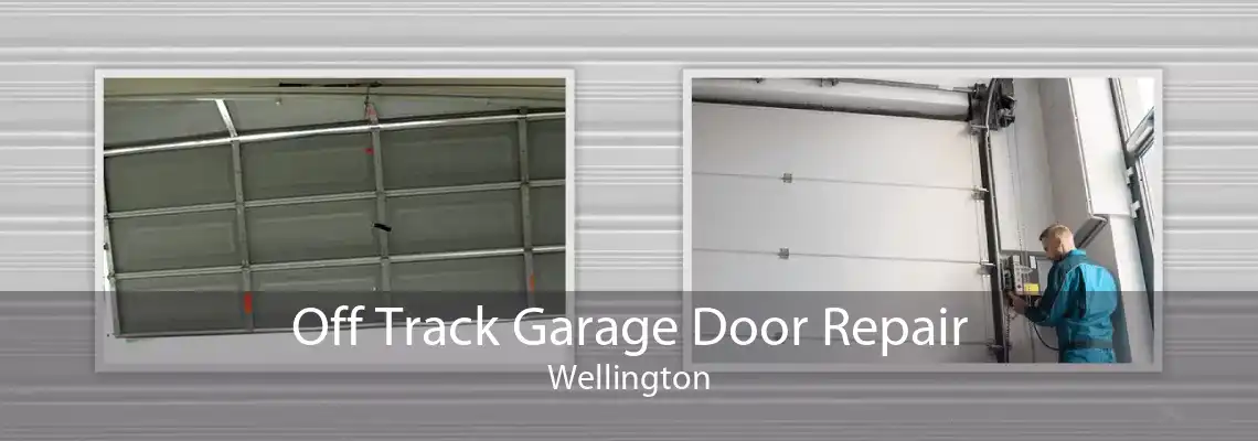 Off Track Garage Door Repair Wellington