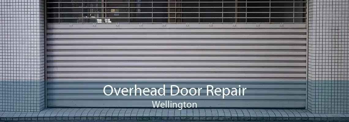 Overhead Door Repair Wellington