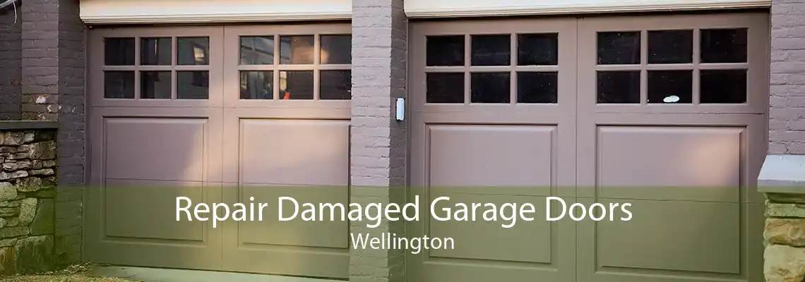 Repair Damaged Garage Doors Wellington
