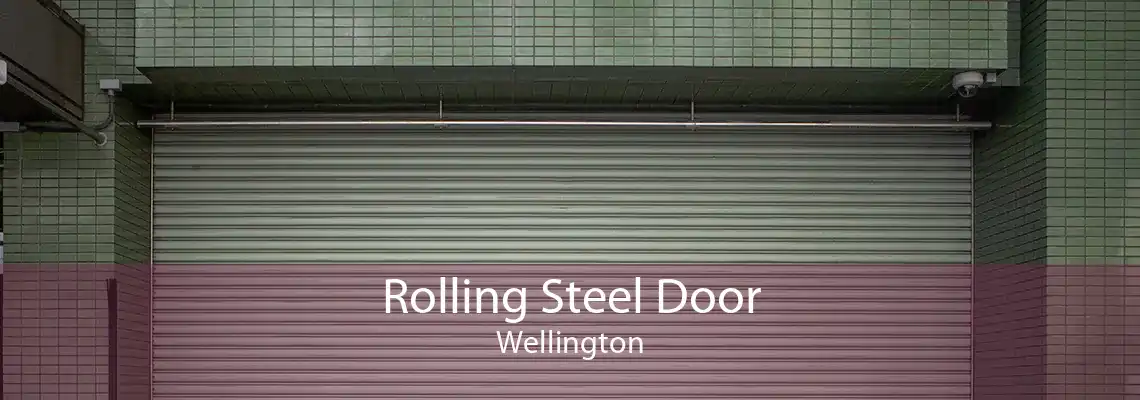 Rolling Steel Door Wellington
