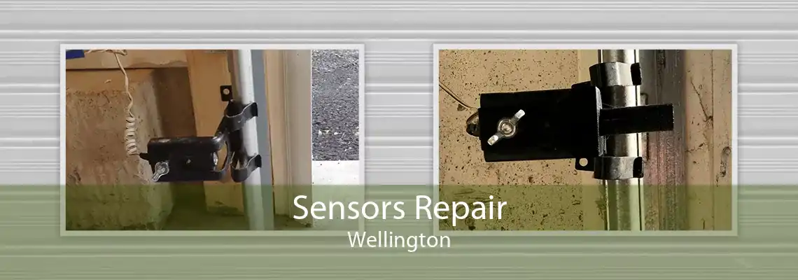 Sensors Repair Wellington
